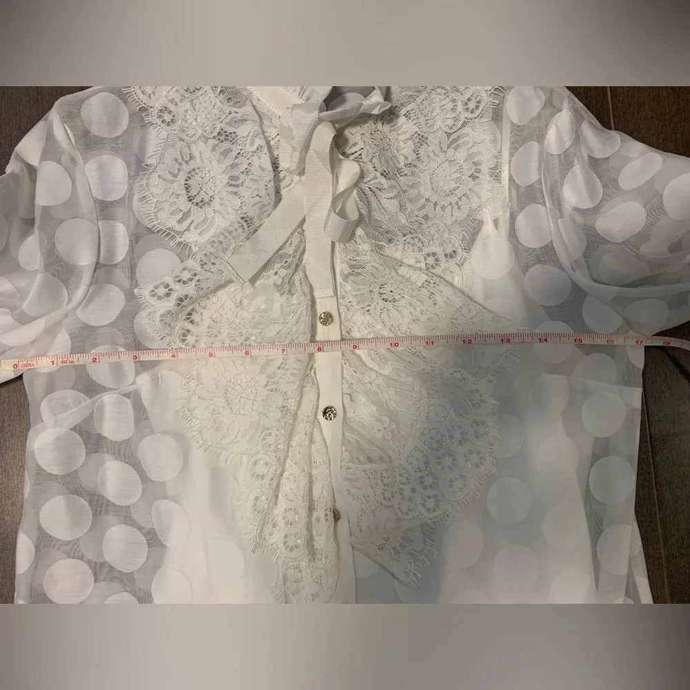 Keepsake Sheer Ruffle Blouse - Picture 11 of 15